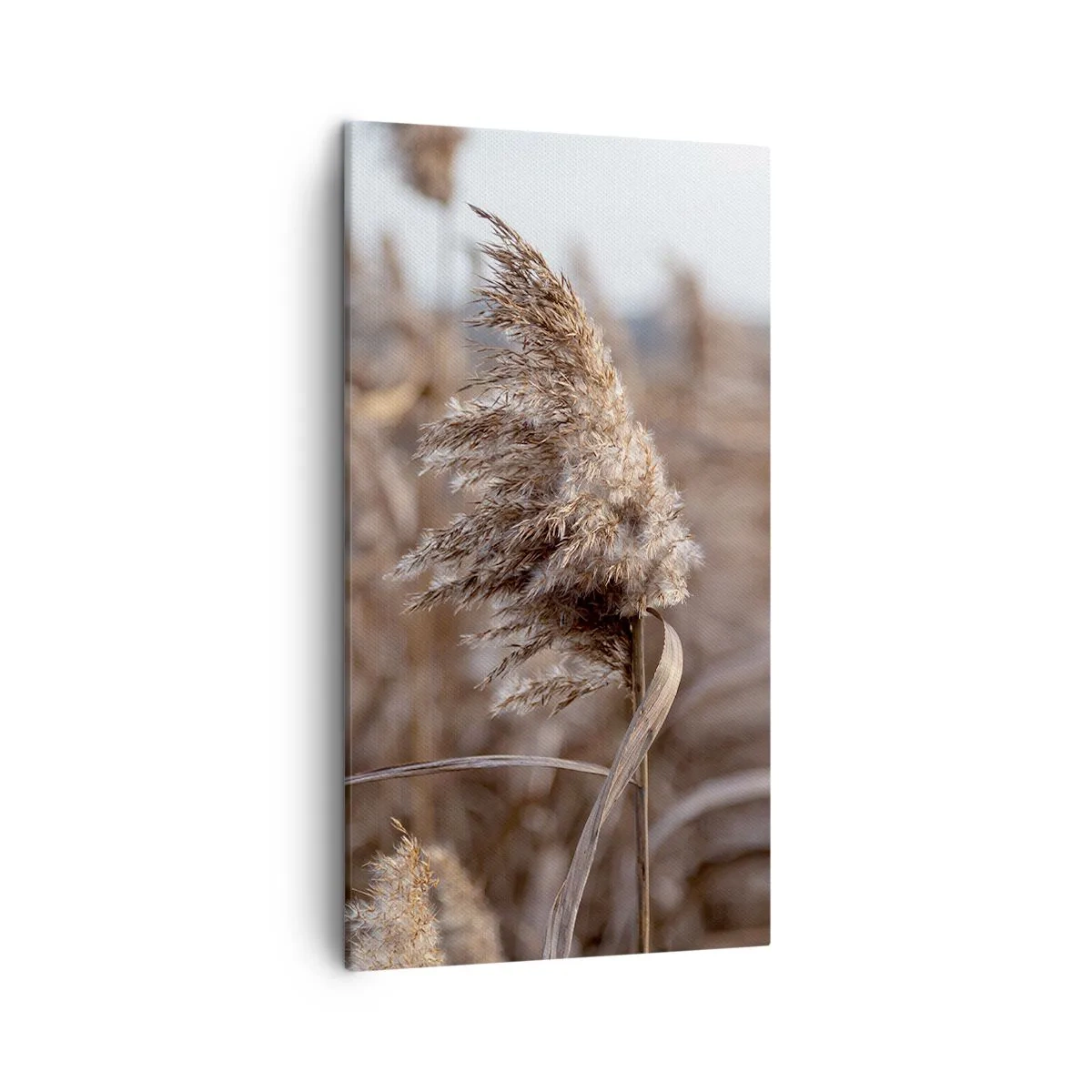 Quadro su tela - Stampe su Tela - è tempo di volare col vento - 45x80 cm