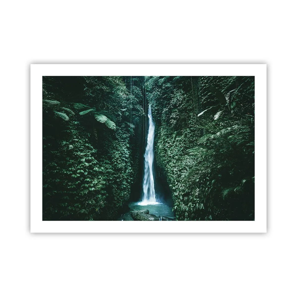 Poster - Terme tropicali - 70x50 cm