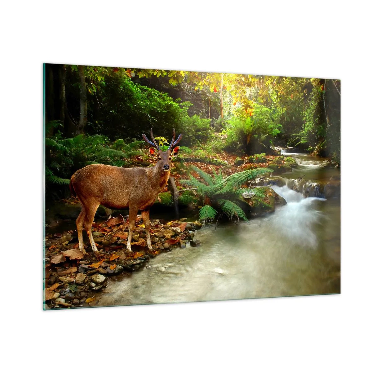 Quadro su vetro - Un cervo vicino a un ruscello in una foresta illuminata dal sole - 100x70cm - Benvenuto nel mio mondo - Decorazione murale moderna per soggiorno e camera da letto ARTTOR