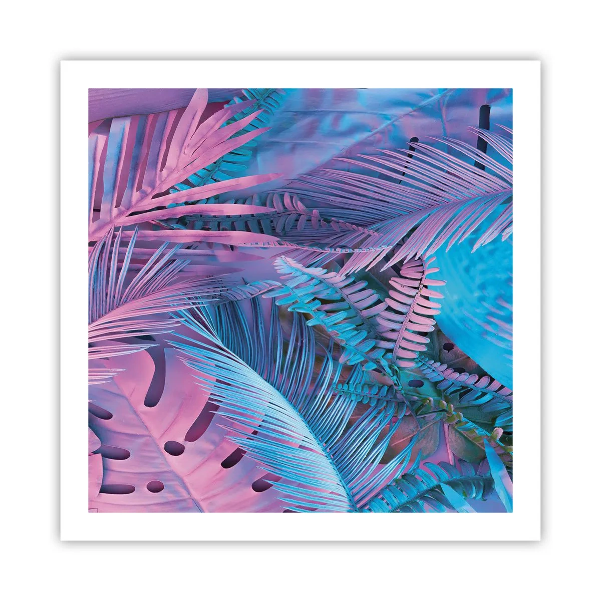 Poster - Tropici in rosa e blu - 60x60 cm