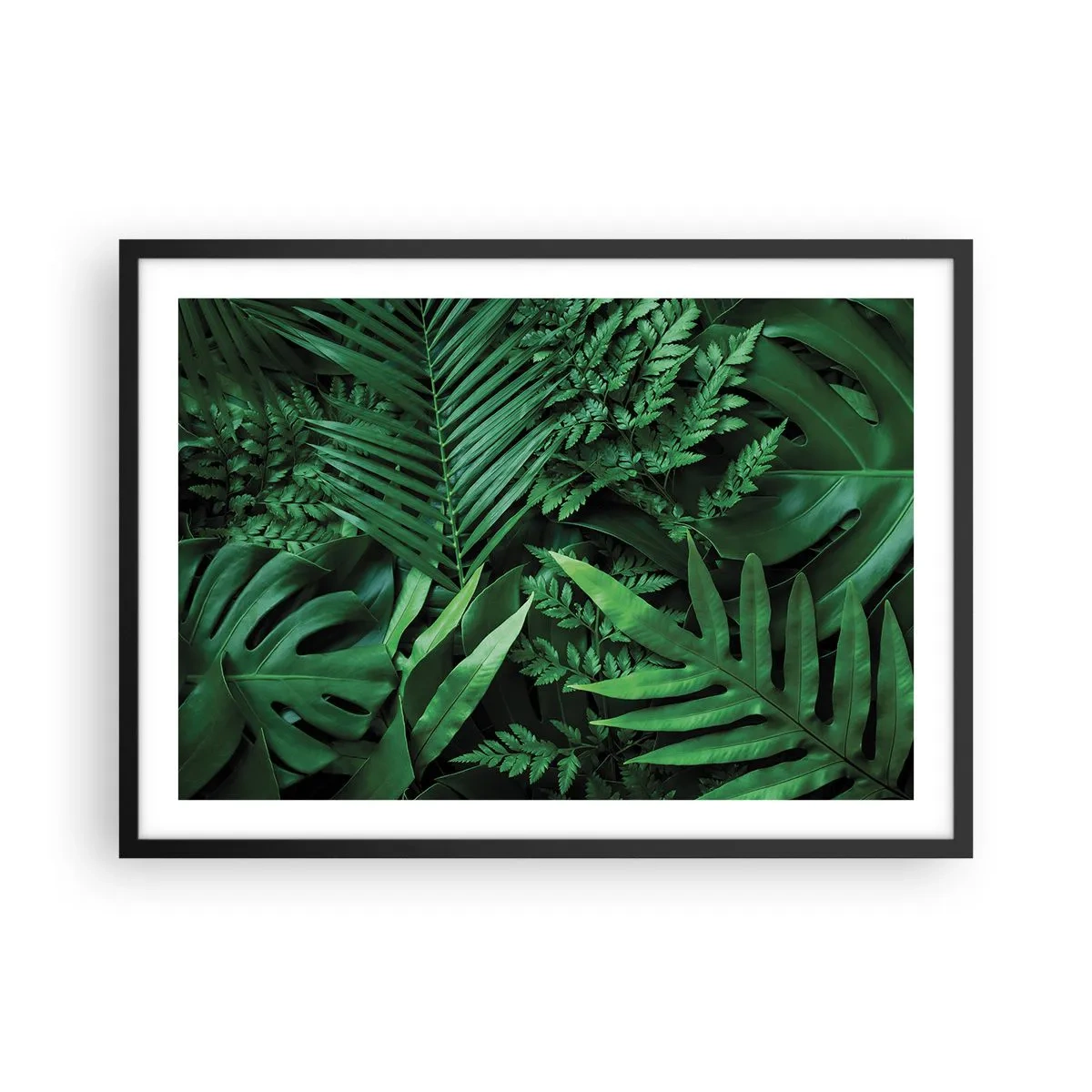 Poster in cornice nera - Foglie tropicali verdi in una composizione densa e naturale - 70x50cm - Avvolti nel verde - Decorazione murale moderna per soggiorno e camera da letto ARTTOR
