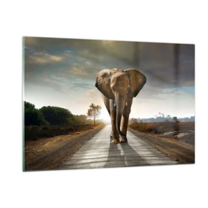 Quadro su vetro - Un elefante che cammina lungo la strada al tramonto - 120x80cm - E non nel negozio di cristalli - Decorazione murale moderna per soggiorno e camera da letto ARTTOR