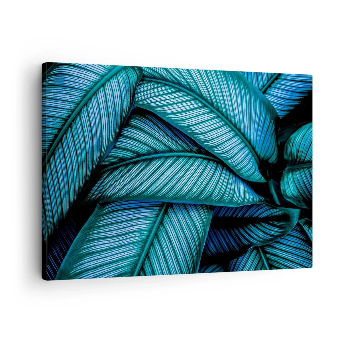 Quadro su tela - Stampe su Tela - Primo piano di foglie turchesi con dettagli vividi. - 70x50cm - Le linee della vita - Decorazione murale moderna per soggiorno e camera da letto ARTTOR