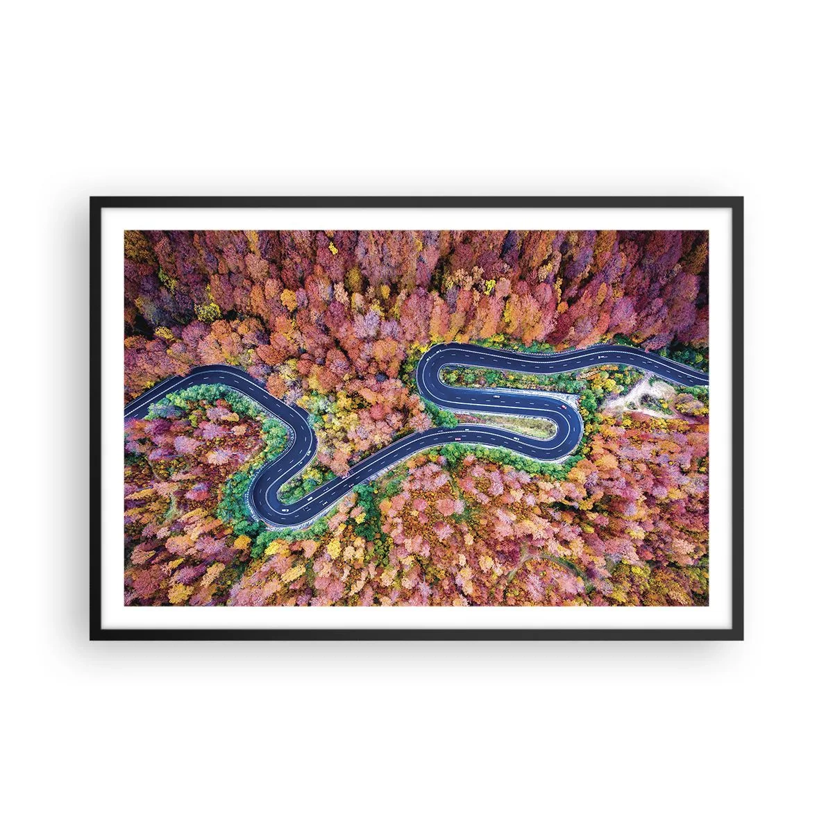 Poster in cornice nera - Via tortuosa attraverso il bosco - 91x61 cm