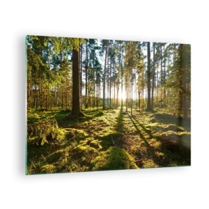 Quadro su vetro - Raggi di sole che penetrano attraverso gli alberi nella foresta - 70x50cm - …dopo sette foreste - Decorazione murale moderna per soggiorno e camera da letto ARTTOR
