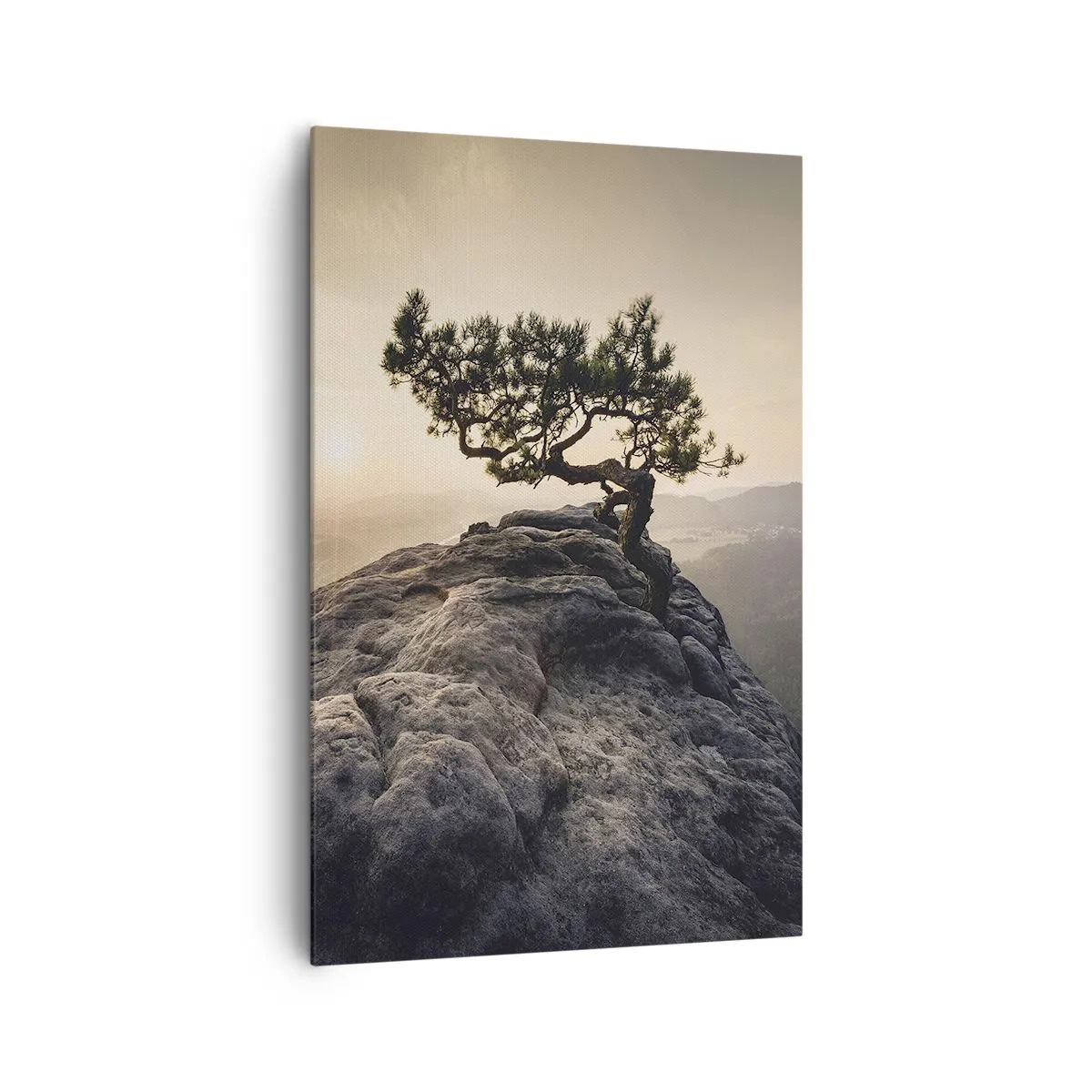 Quadro su tela - Stampe su Tela - Un albero solitario su una cima rocciosa alla luce del sole - 80x120cm - La vita vince sempre - Decorazione murale moderna per soggiorno e camera da letto ARTTOR