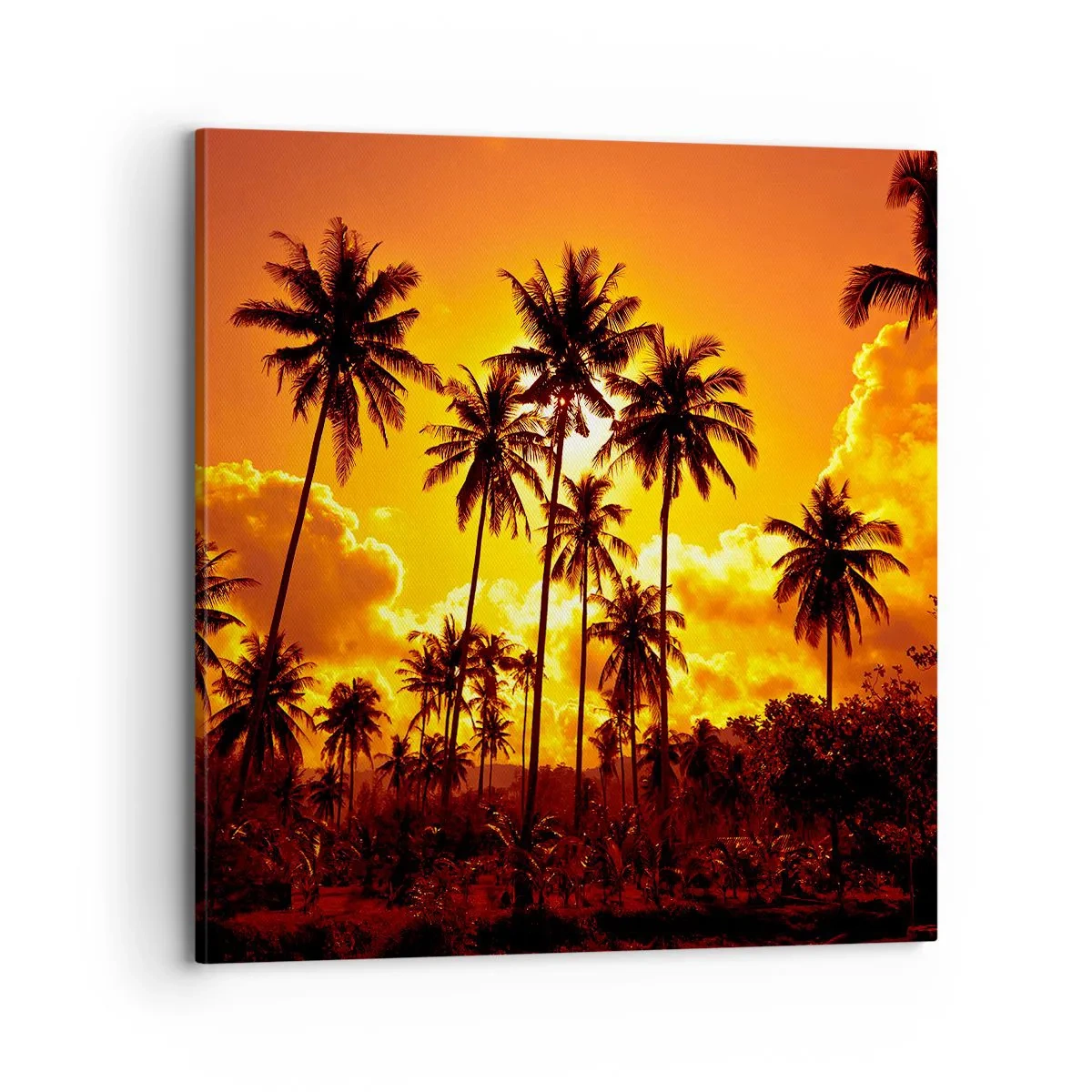 Quadro su tela - Stampe su Tela - Bruciano i monti, bruciano i boschi - 70x70 cm