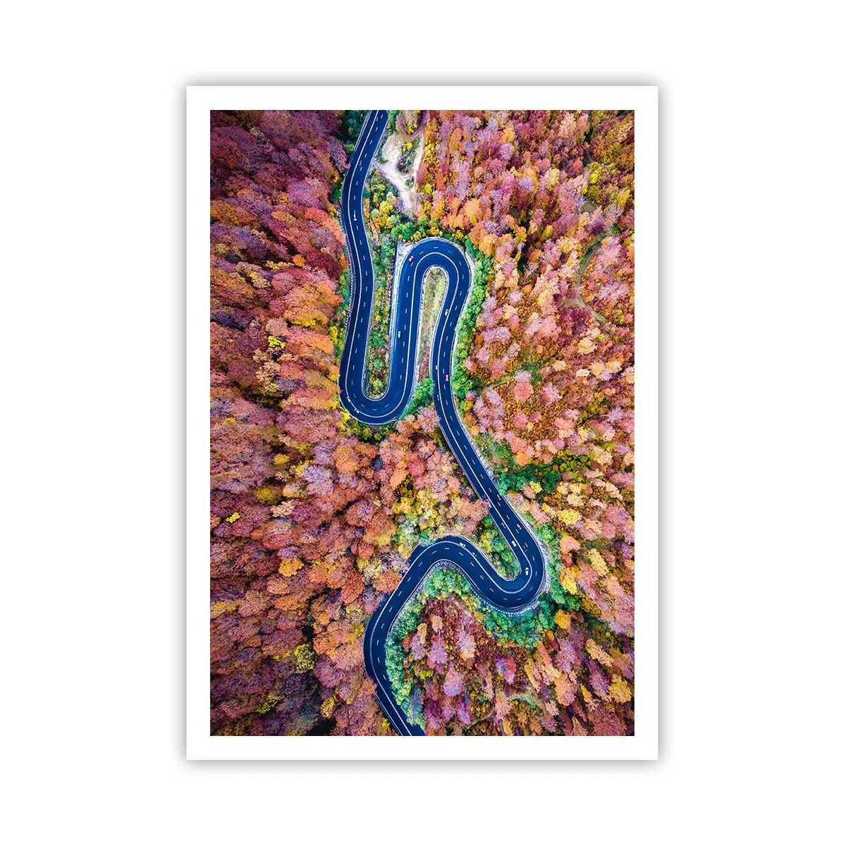 Poster - Via tortuosa attraverso il bosco - 70x100 cm