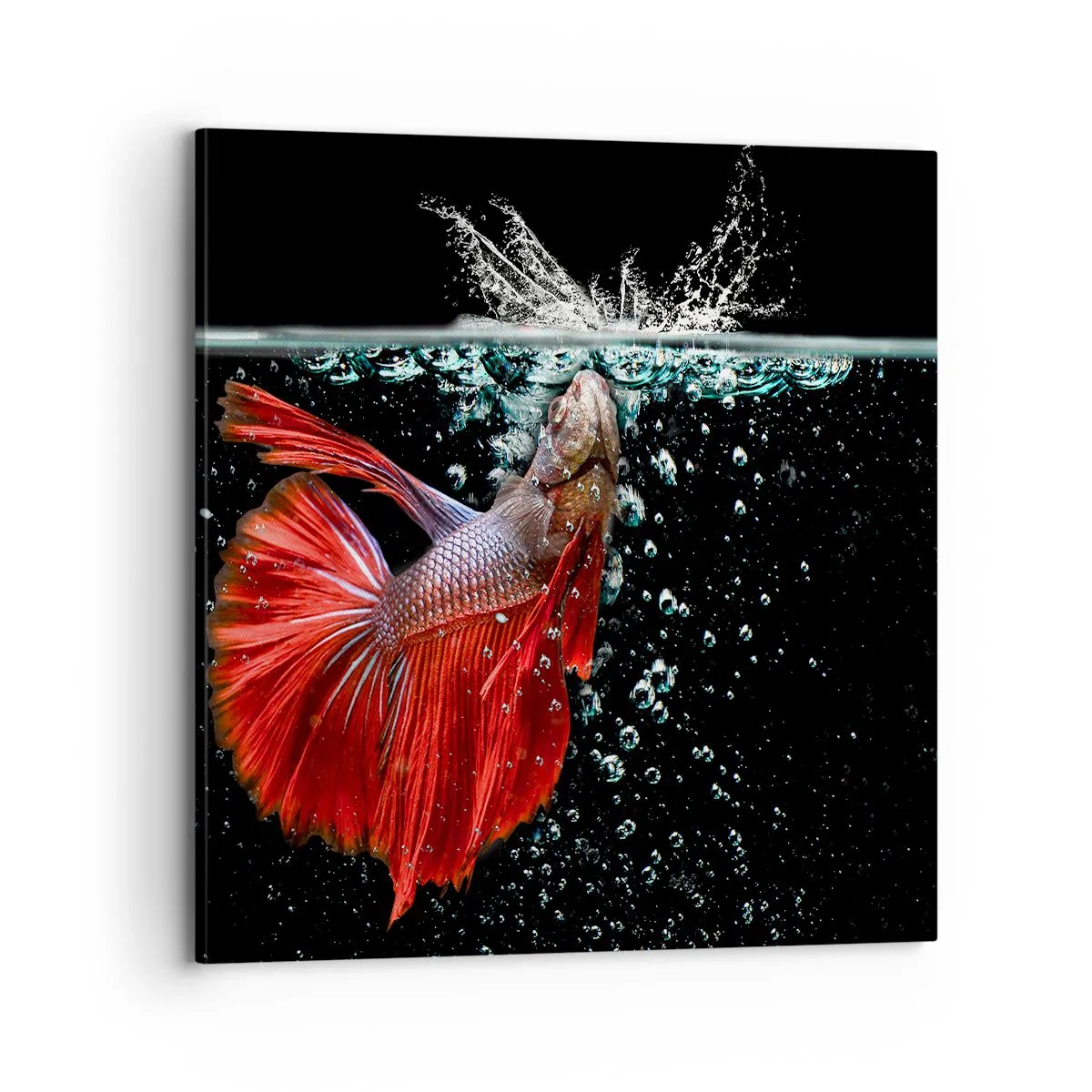 Quadro su tela - Stampe su Tela - Hai tre desideri - 70x70 cm