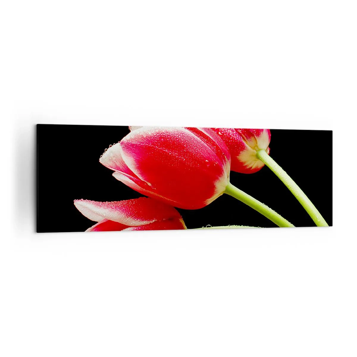 Quadro su tela - Stampe su Tela - Tulipani rossi con gocce di rugiada su sfondo nero - 160x50cm - Promessa di amore puro - Decorazione murale moderna per soggiorno e camera da letto ARTTOR