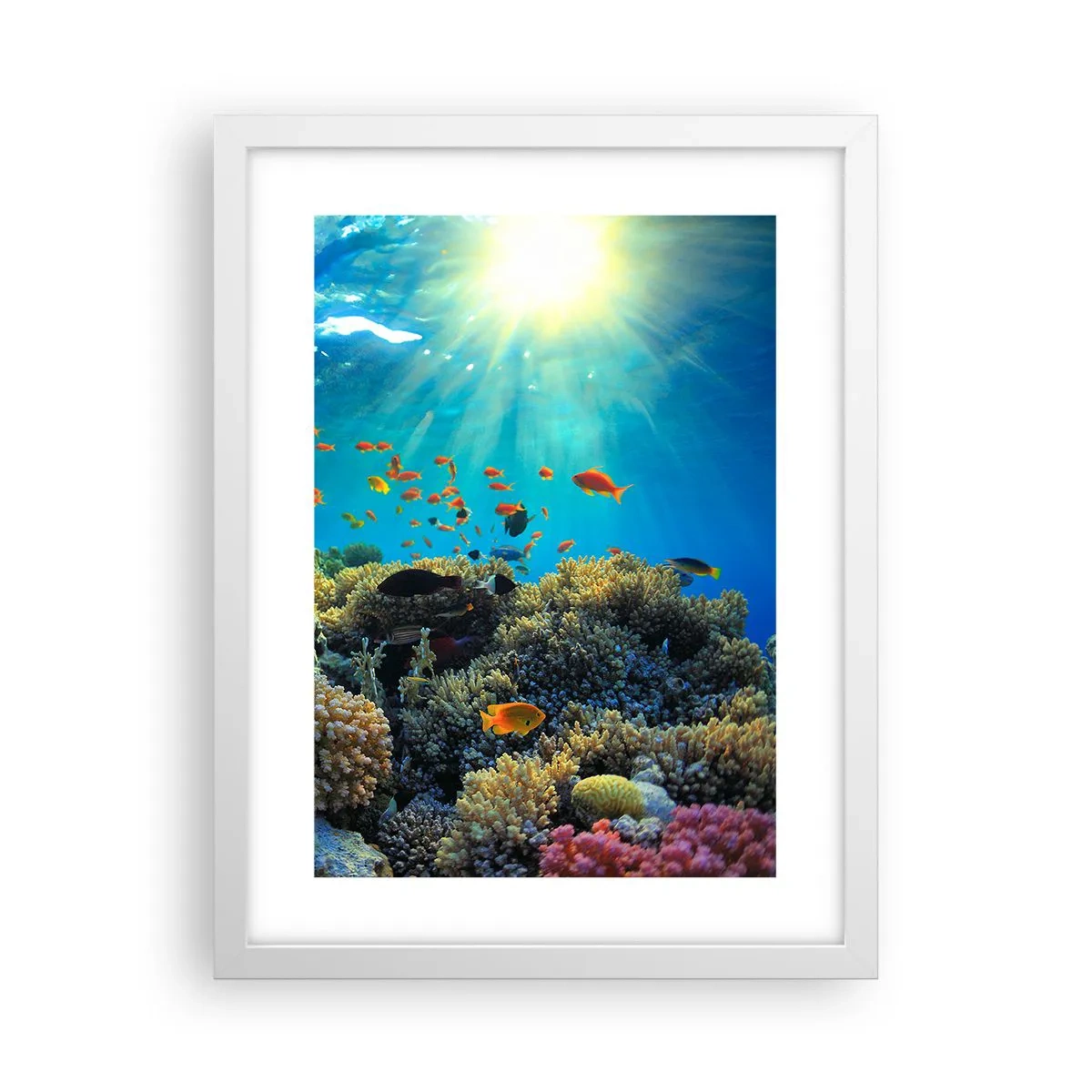 Poster in cornice bianca - Tesori sotto al mare - 30x40 cm