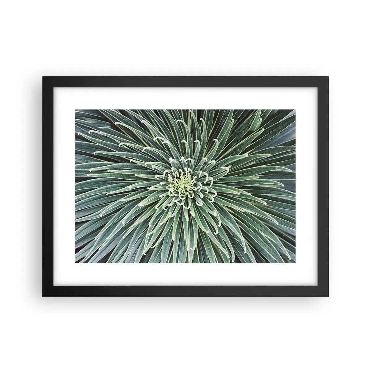 Poster in cornice nera - La nascita delle stelle - 40x30 cm