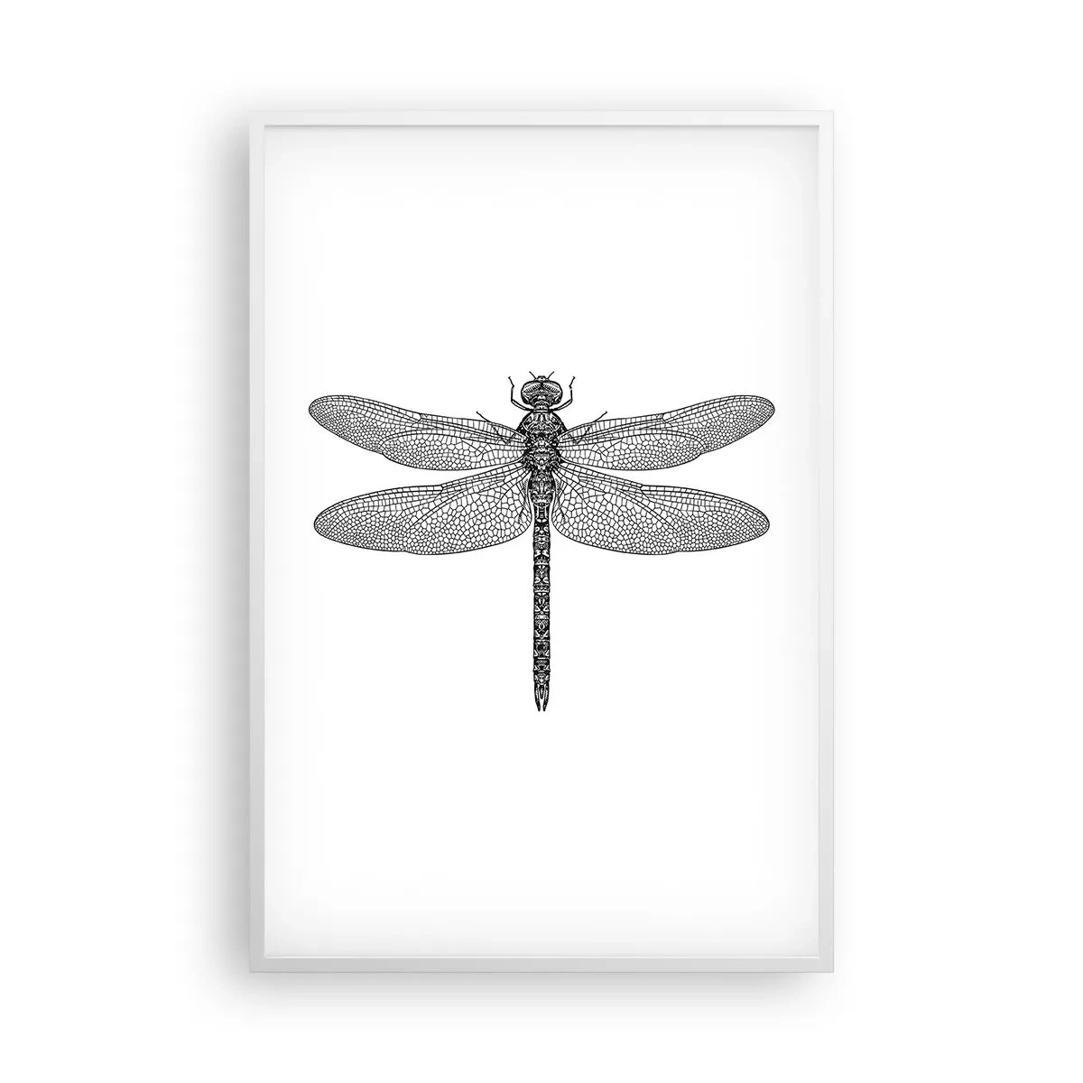 Poster in cornice bianca - La precisione della natura - 61x91 cm