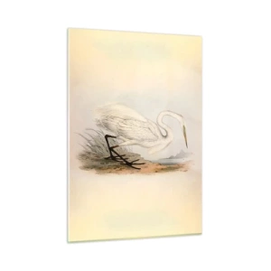 Quadro su vetro - Illustrazione d'epoca di un airone bianco in riva all'acqua - 50x70cm - La signora nel canneto - Decorazione murale moderna per soggiorno e camera da letto ARTTOR