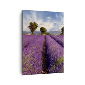 Quadro su tela - Stampe su Tela - Un campo di lavanda con alberi sullo sfondo di montagne e cielo - 50x70cm - Campi di lavanda - Decorazione murale moderna per soggiorno e camera da letto ARTTOR