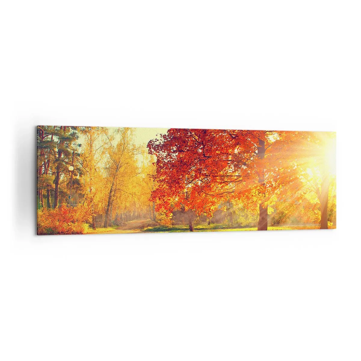 Quadro su tela - Stampe su Tela - Parco autunnale illuminato dalla luce del sole - 160x50cm - Rosso è bello - Decorazione murale moderna per soggiorno e camera da letto ARTTOR