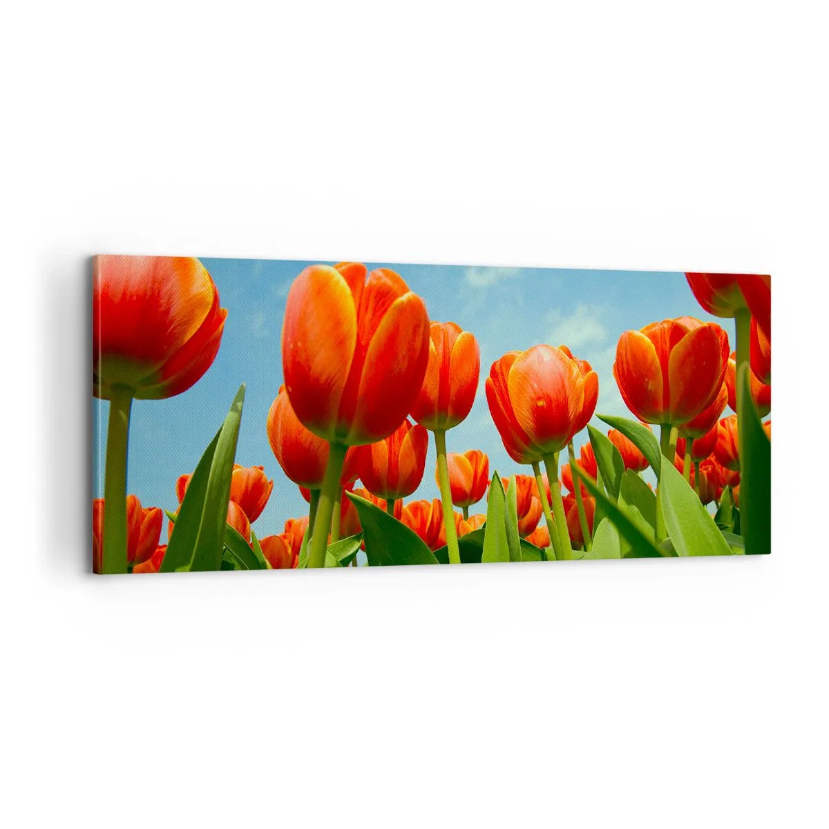 Quadro su tela - Stampe su Tela - A loro non serve nulla oltre al cielo azzurro - 100x40 cm