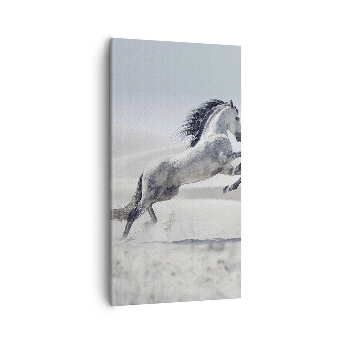 Quadro su tela - Stampe su Tela - Il principe arabo - 55x100 cm