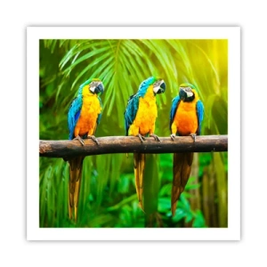 Poster - Hai sentito che ha fatto? - 60x60 cm