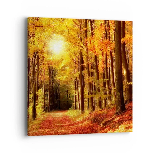 Quadro su tela - Stampe su Tela - Autunno dorato nella via nel bosco - 40x40 cm