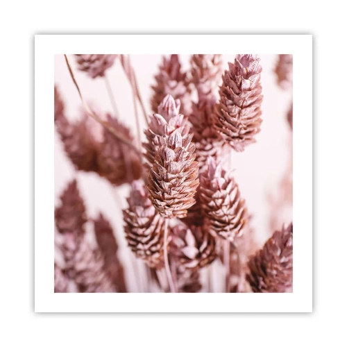 Poster - A prima vista poco appariscenti - 50x50 cm