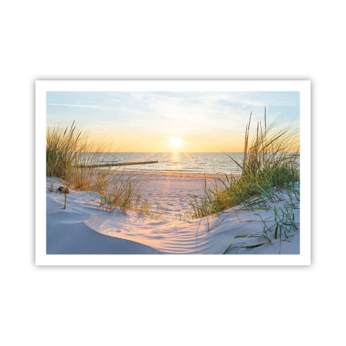 Poster - Rumore del mare, uccelli che cantano, spiaggia selvatica tra i cespugli... - 91x61 cm