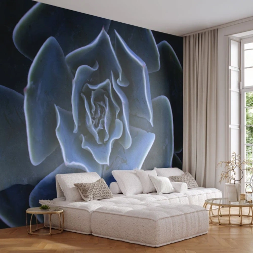 Fotomurali Premium Canvas - Fiore del deserto - Fiore di agave, Fiore, Natura - 300x210 cm