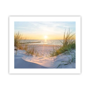 Poster - Rumore del mare, uccelli che cantano, spiaggia selvatica tra i cespugli... - 50x40 cm
