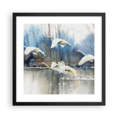 Poster in cornice nera - Come la favola dei cigni selvatici - 40x40 cm