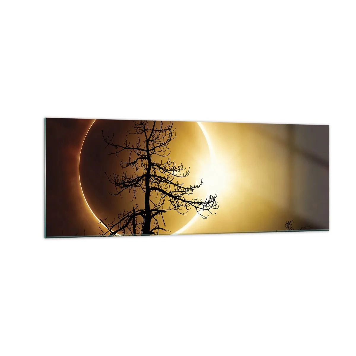Quadro su vetro - Eclissi solare con la sagoma di un albero in primo piano - 140x50cm - Eclissi totale - Decorazione murale moderna per soggiorno e camera da letto ARTTOR