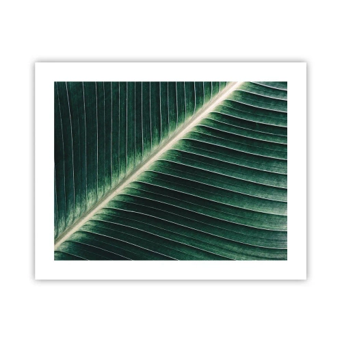Poster - Il ritmo della natura - 50x40 cm
