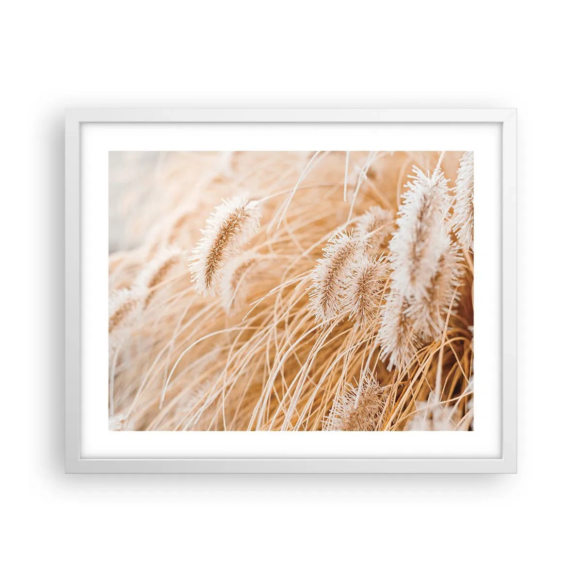 Poster in cornice bianca - Il fruscio dorato dell'erba - 50x40 cm