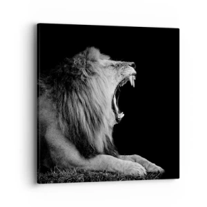 Quadro su tela - Stampe su Tela - Senza alcun dubbio - 40x40 cm