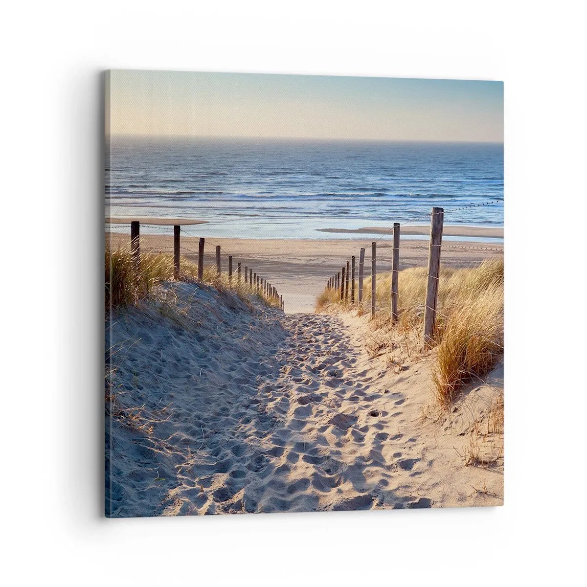 Quadro su tela - Stampe su Tela - Rumore del mare, uccelli che cantano, spiaggia selvatica tra i cespugli... - 70x70 cm