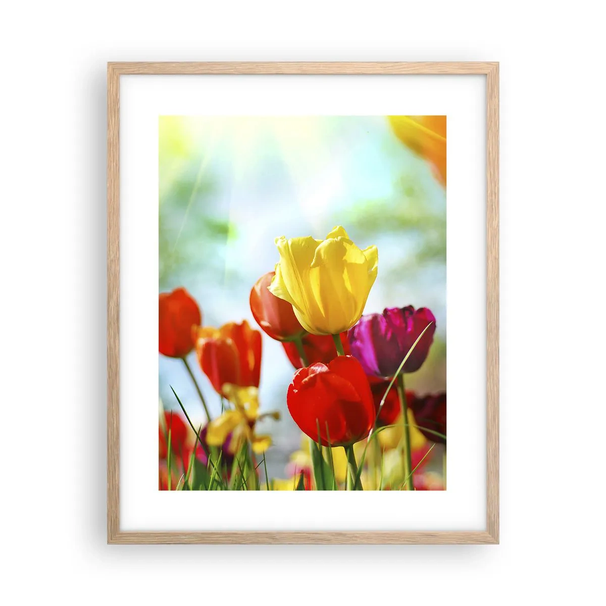 Poster in cornice rovere chiaro - Tutti i colori del sole - 40x50 cm
