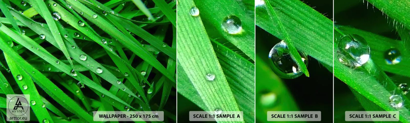 Campione Di Fotomurale Standard Eco - Giocando con il verde - Natura, Erba verde, Giardino - 100x30 cm