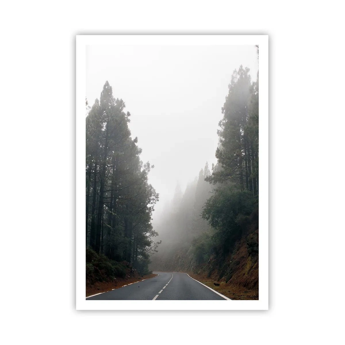 Poster - Il racconto della foresta magica - 70x100 cm