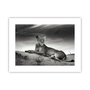 Poster - Il riposo della regina del deserto - 40x30 cm