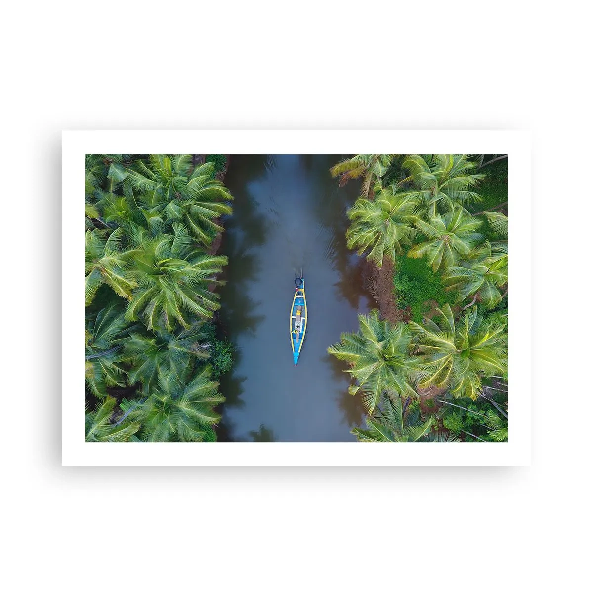 Poster - Sul percorso tropicale - 70x50 cm