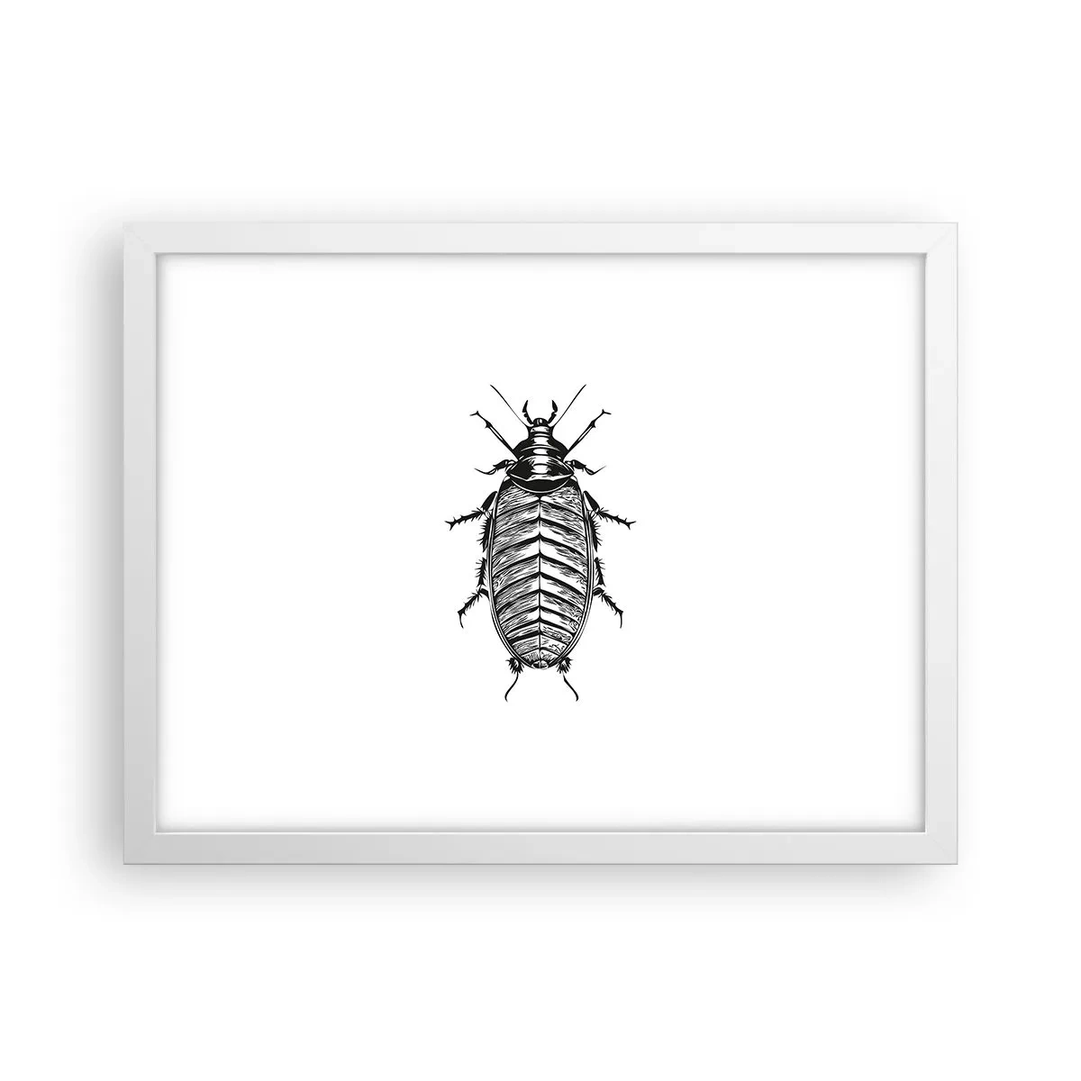 Poster in cornice bianca - Che esemplare! - 40x30 cm