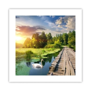 Poster - Estate, estate ovunque - 40x40 cm