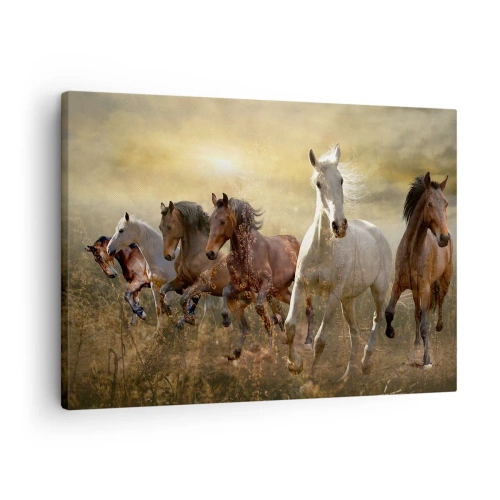 Quadro su tela - Stampe su Tela - Un gruppo di cavalli al galoppo sullo sfondo del sole al tramonto - 70x50cm - Evviva la libertà! - Decorazione murale moderna per soggiorno e camera da letto ARTTOR