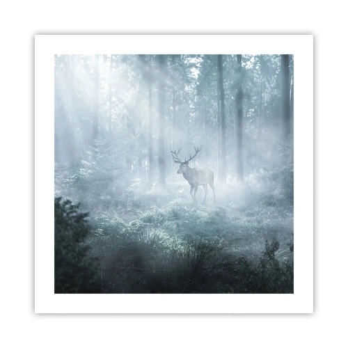 Poster - Passeggiata mattutina sulle sue terre - 50x50 cm