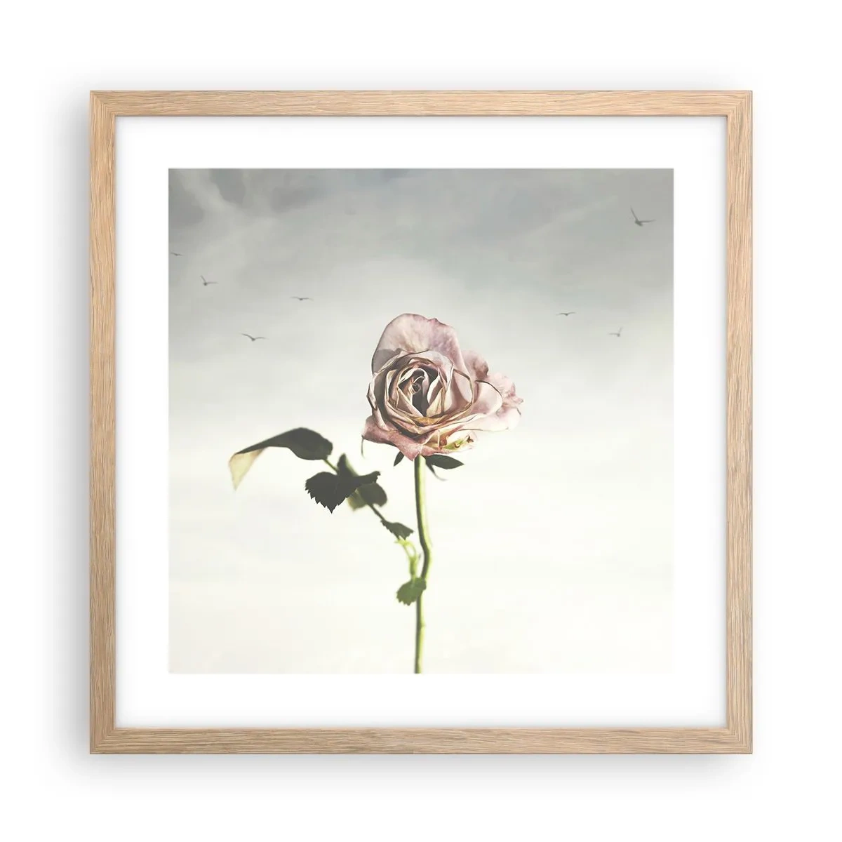 Poster in cornice rovere chiaro - Il benvenuto alla primavera - 40x40 cm