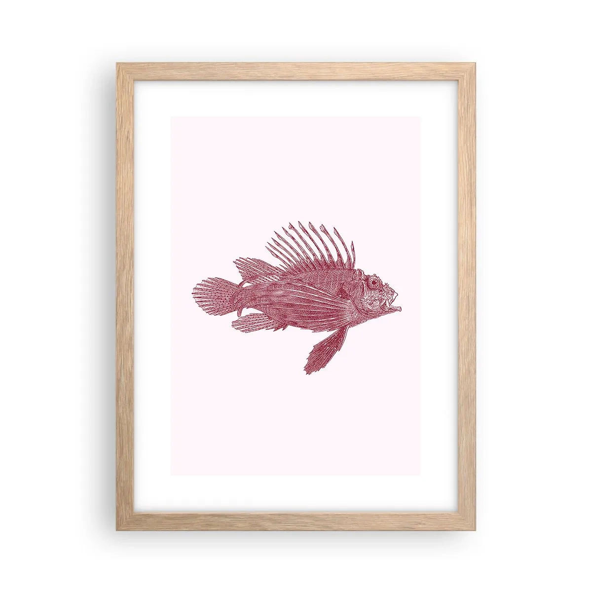 Poster in cornice rovere chiaro - Abitante di mari esotici - 30x40 cm