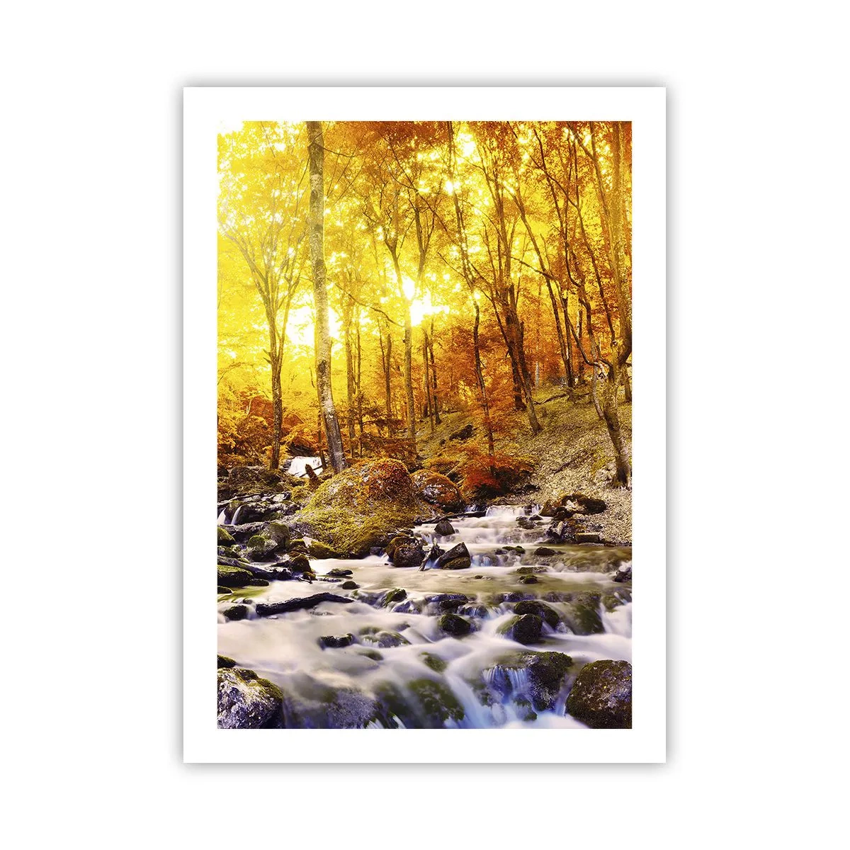 Poster - Foresta autunnale con un ruscello impetuoso alla luce del sole al tramonto - 50x70cm - Pietre incorniciate in oro e platino - Decorazione murale moderna per soggiorno e camera da letto ARTTOR