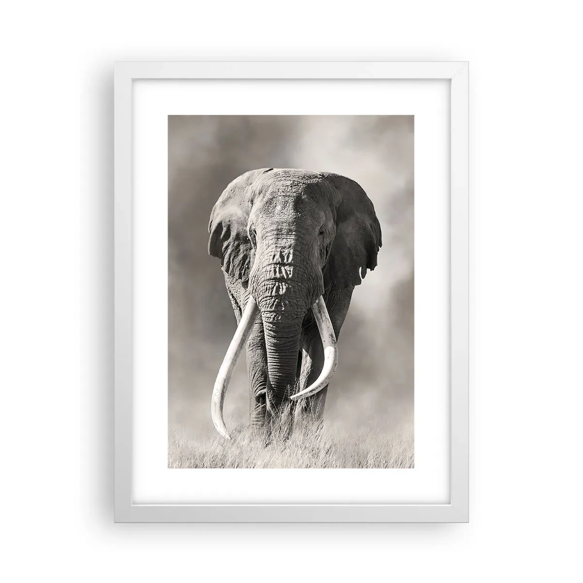 Poster in cornice bianca - Patriarca africano - 30x40 cm