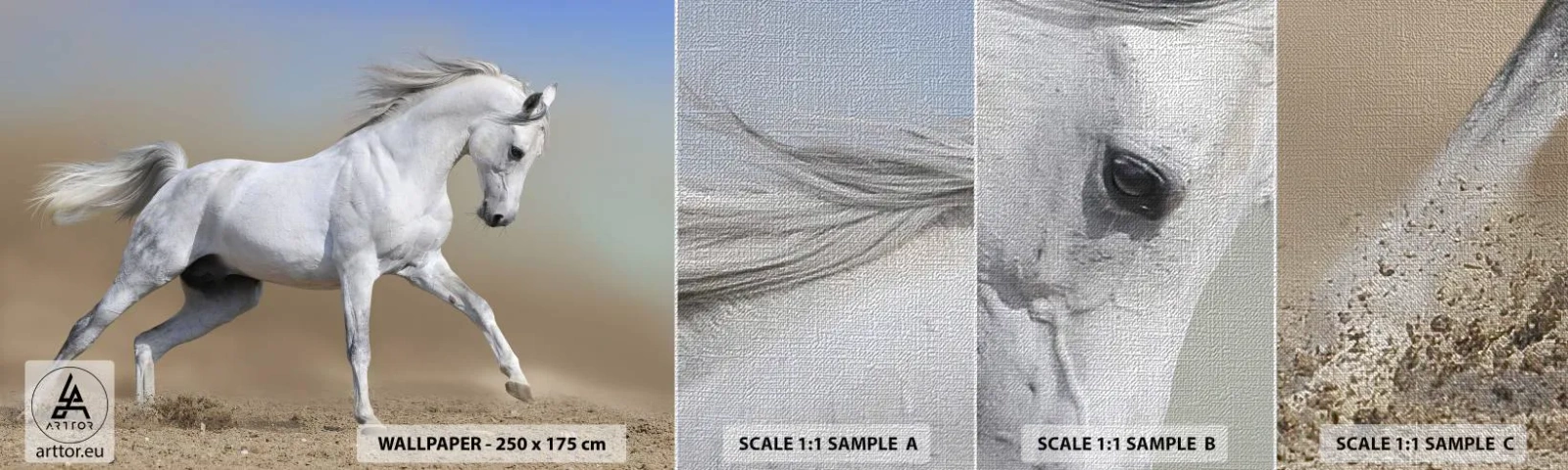 Campione di Fotomurale Premium Canvas - La più bella favola araba - Cavallo, Animali, Galoppo - 100x30 cm