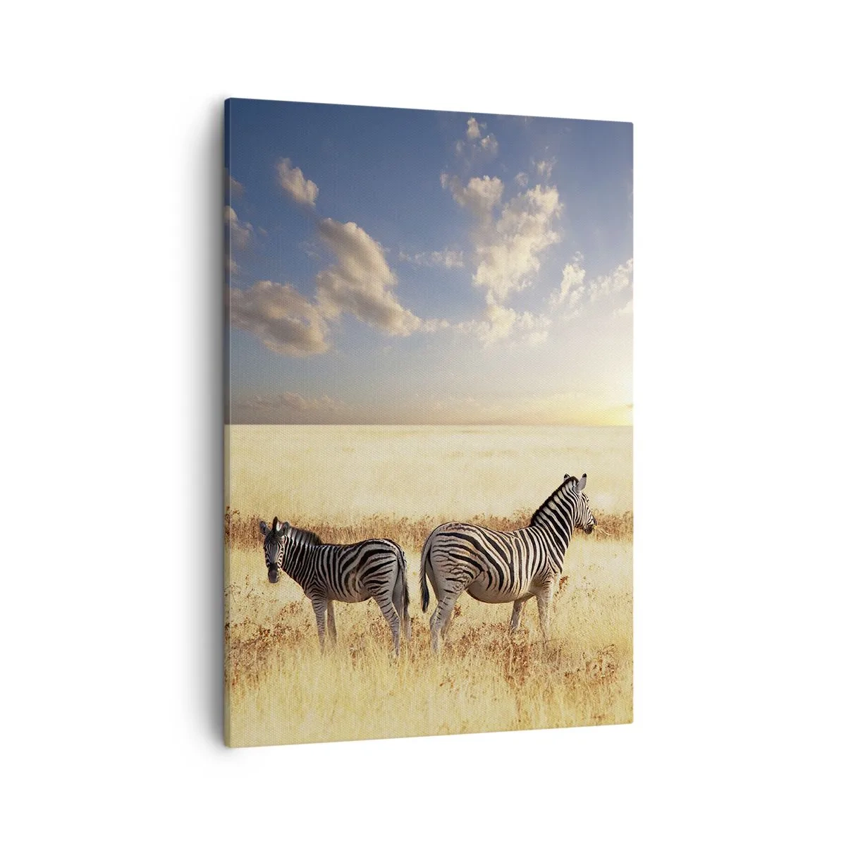 Quadro su tela - Stampe su Tela - Due zebre nella savana sotto i raggi del sole al tramonto - 50x70cm - Allontanati, non disturbare - Decorazione murale moderna per soggiorno e camera da letto ARTTOR