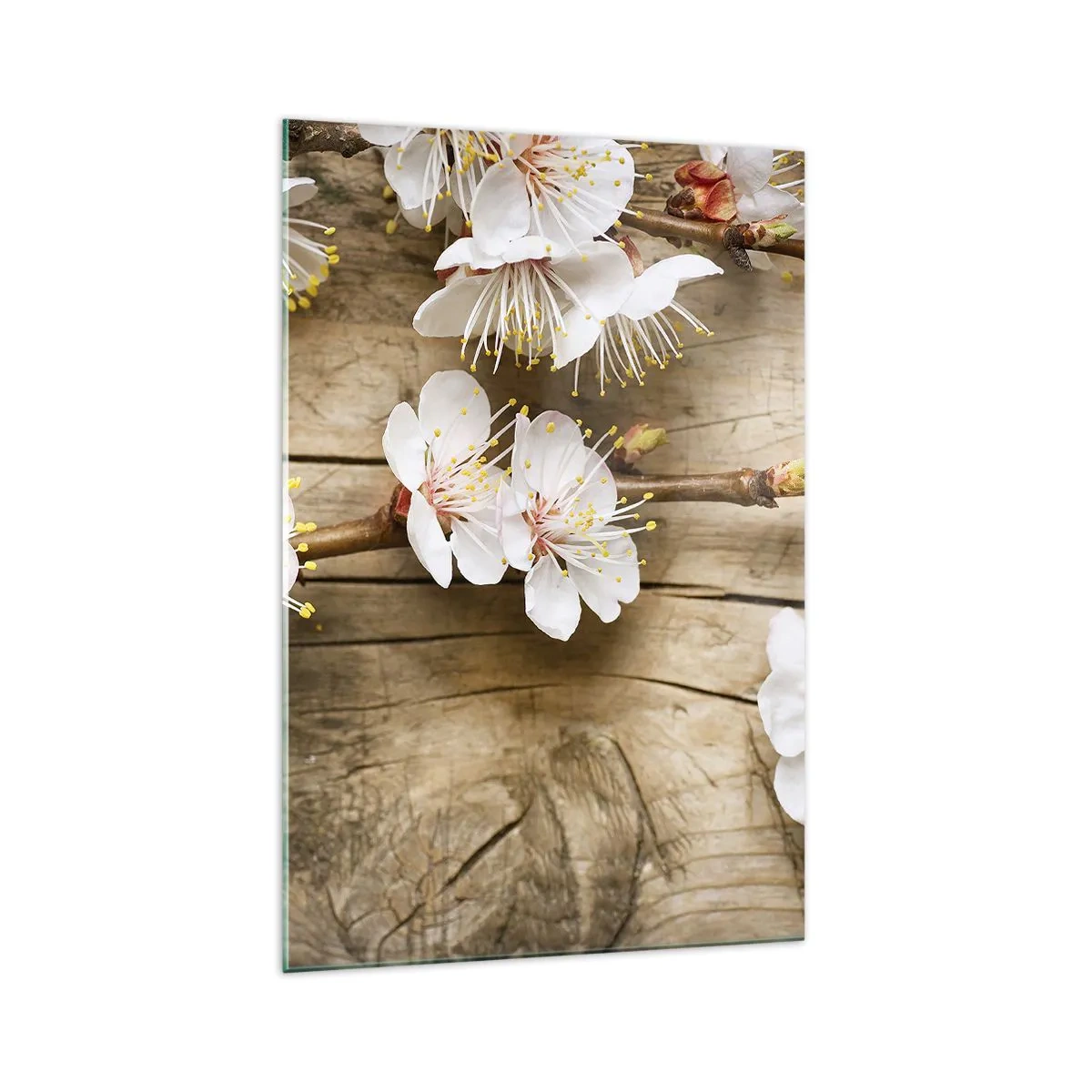 Quadro su vetro - Rami di ciliegi in fiore su uno sfondo di tavola di legno - 70x100cm - Ed è giunta la primavera - Decorazione murale moderna per soggiorno e camera da letto ARTTOR